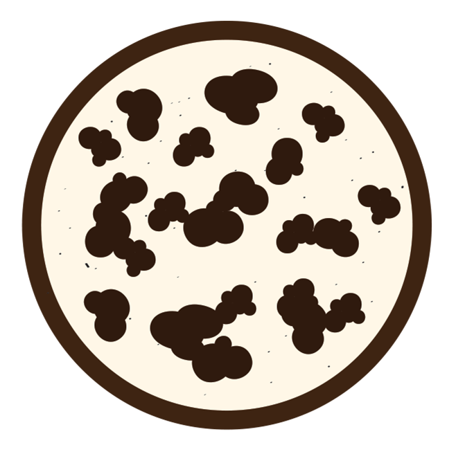 Cookies ‘n Cream