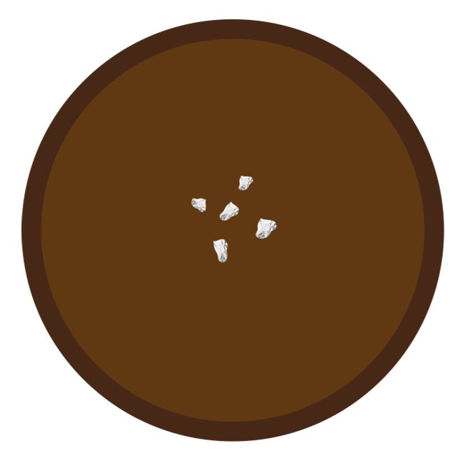 Sea Salt Houjicha